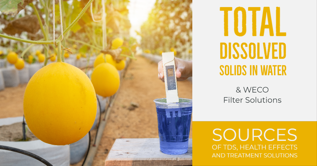 Total Dissolved Solids (TDS)