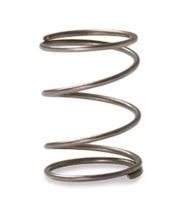 Polaris Scientific UV-32SPRING Stainless Steel Spring 