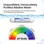 WECO HYDRA-75ALKPMP Reverse Osmosis Drinking Water Filtration System with pH Neutralizer Cartridge and Booster Pump