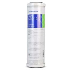 Pentek® CBC-10  2-1/2" x 9-3/4" Carbon Block Filter Cartridge 