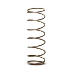 Polaris Scientific UV-39SPRING Stainless Steel Spring 