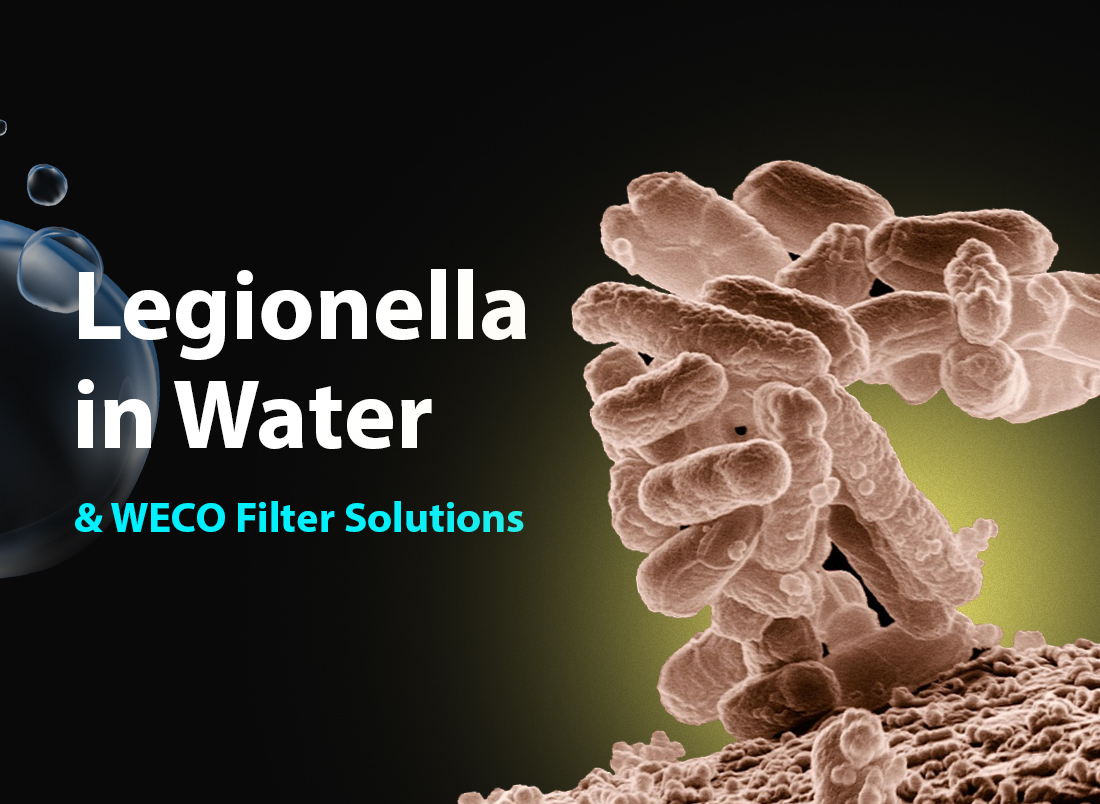 Legionella in Water