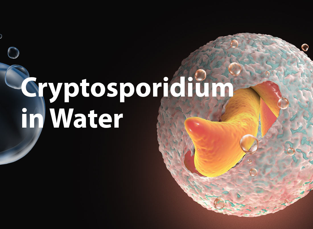 Cryptosporidium in Water
