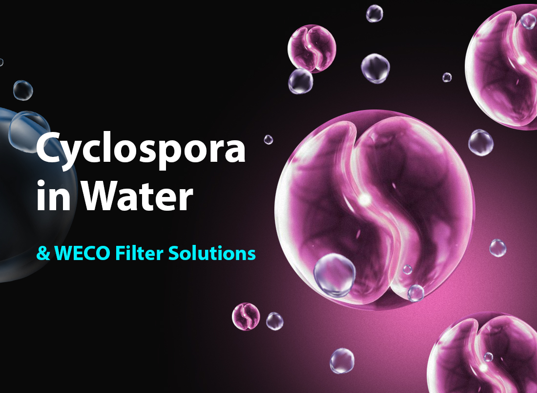 Cyclospora in Water