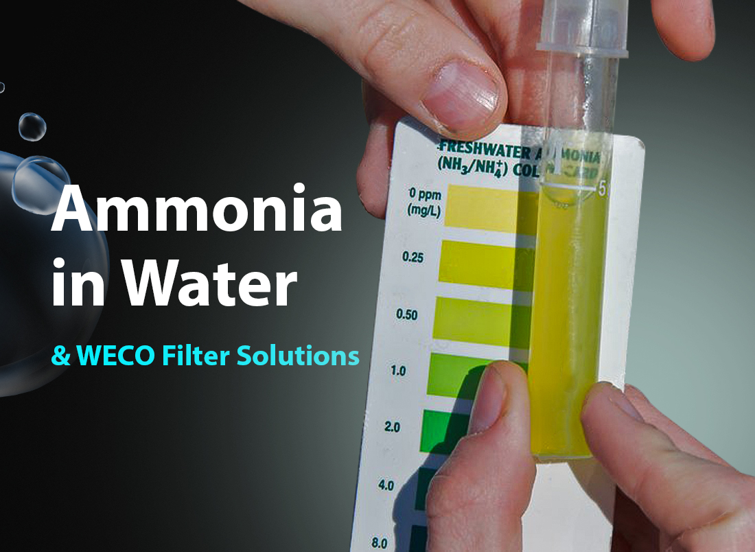 Ammonia in Water