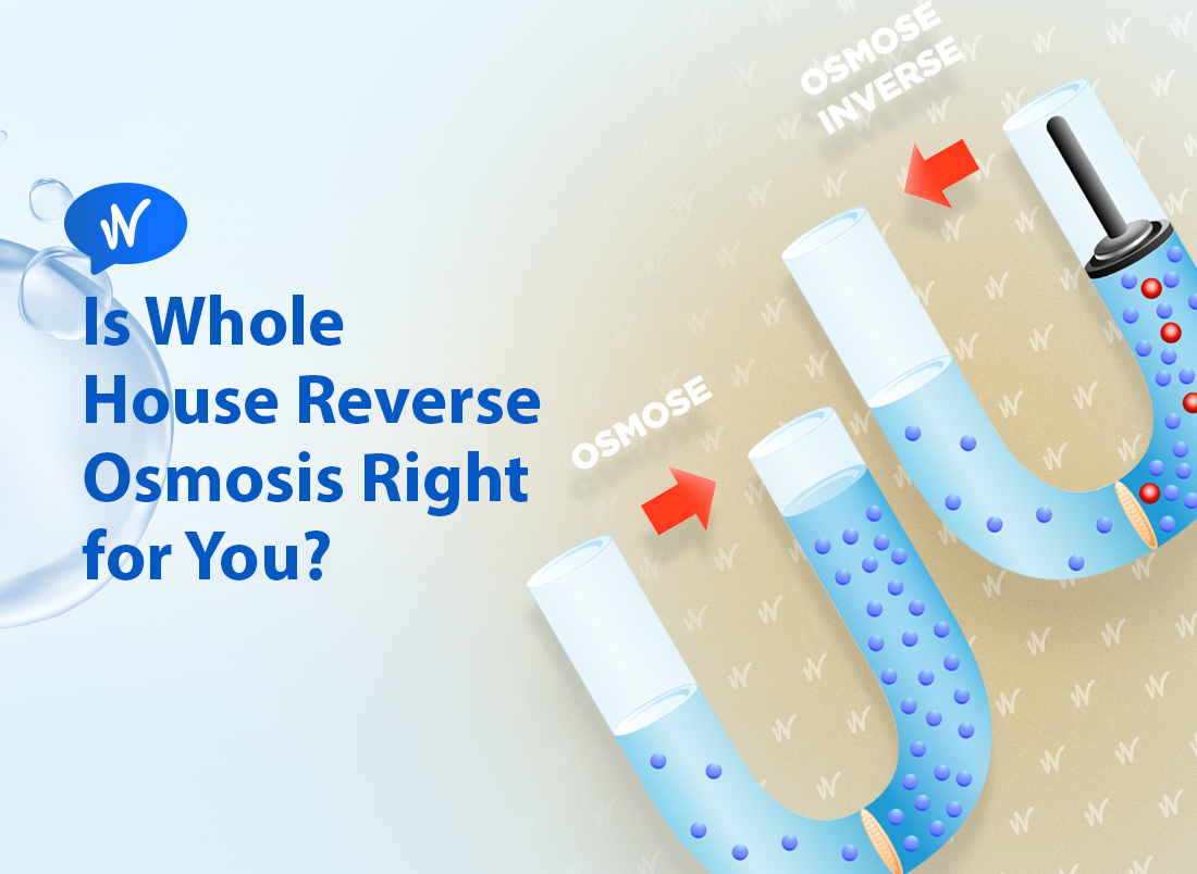 Is Whole House Reverse Osmosis Right for You?