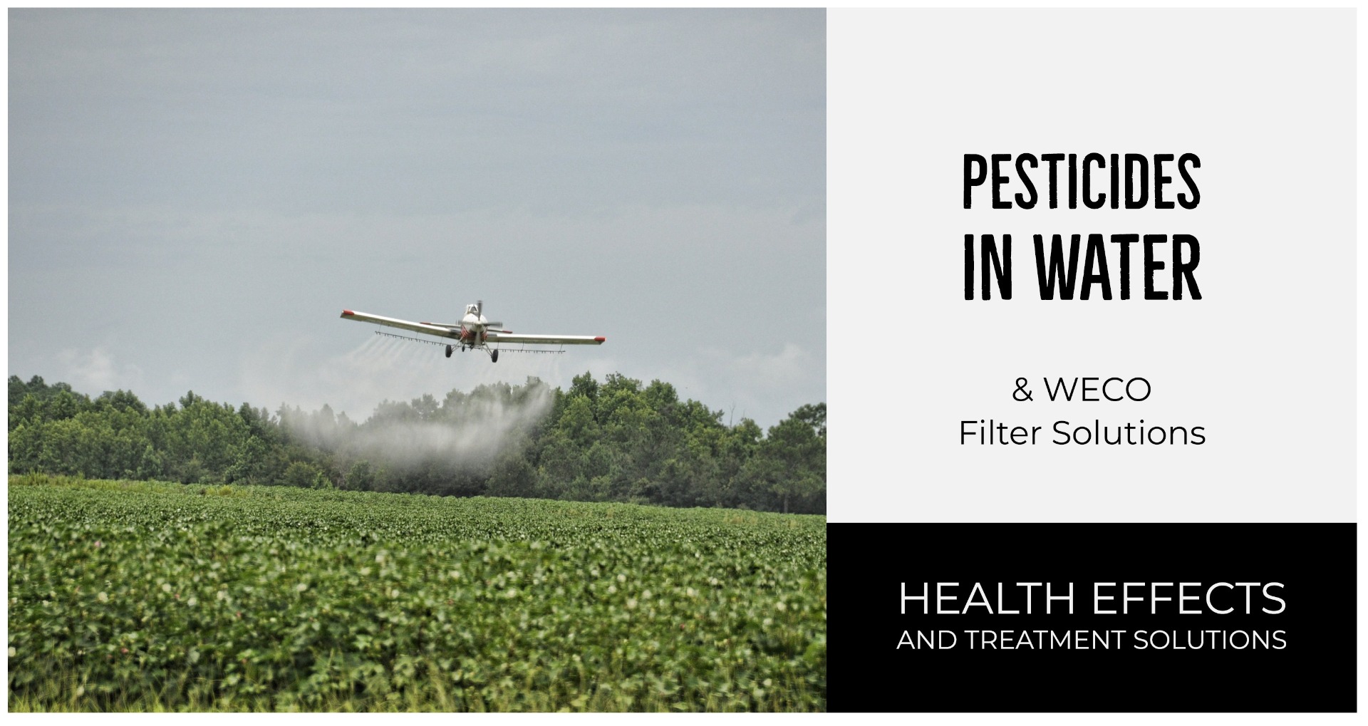 Pesticides in Water