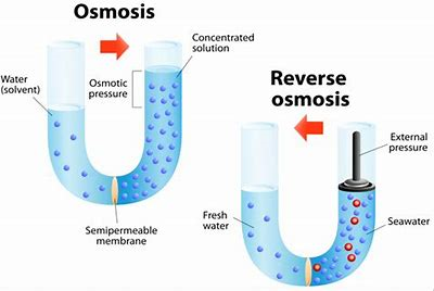 Reverse Osmosis Process