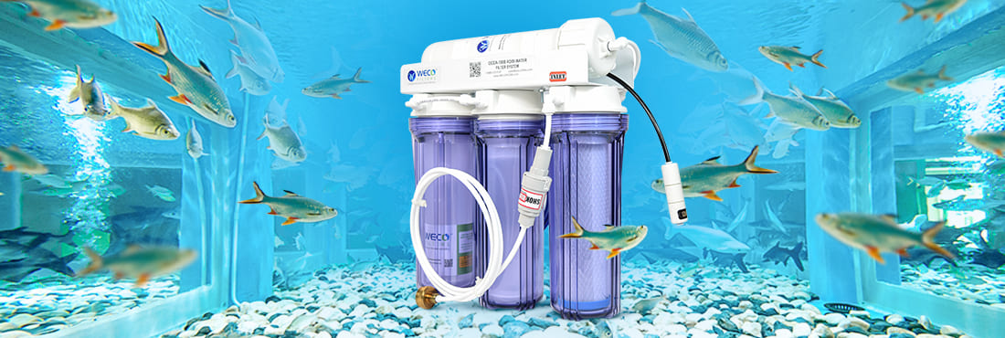 Water filters and water filter systems